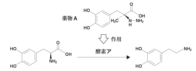 解説画像
